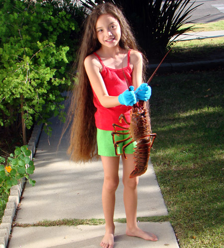 Growing Up With Lobsters